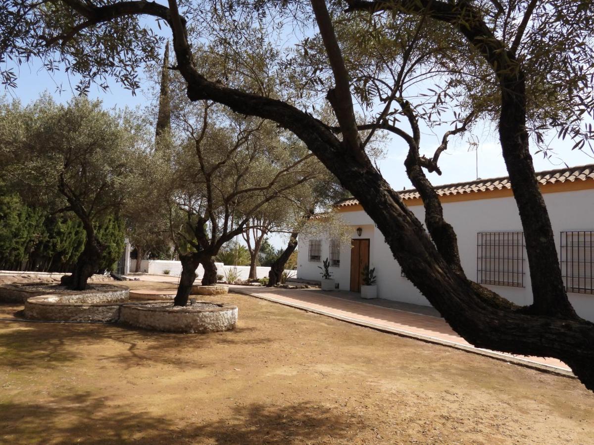 Villa El Rincon Del Brillante à Cordoue Extérieur photo